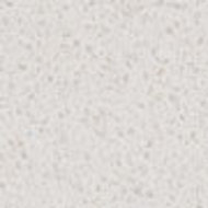 Divinity White